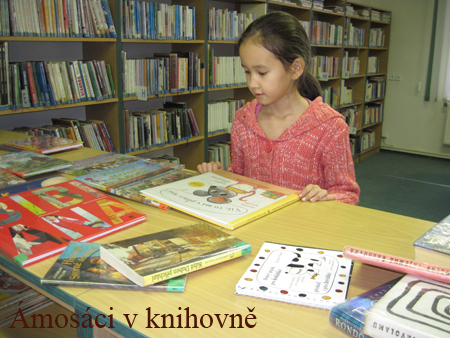 knihovna (17)